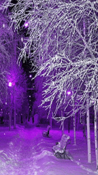 Живые фотографии – Живые картинки – Сообщество – Google+