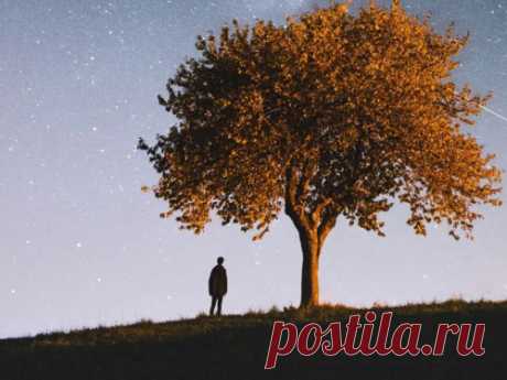 9 мудрых истин о зависти, обидах и саморазрушении Мудрость — это не только понимание того, где и как находить удачу и позитив. Это еще и умение принимать своих внутренние проблемы, а также бороться с ними. Эксперты рассказали подробнее про зависть, обиды и их негативные последствия.