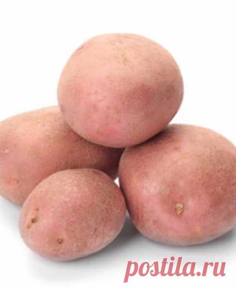 Семенной картофель почтой