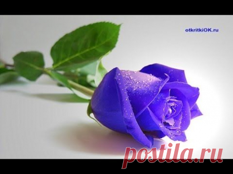 Спасибо Вам мои друзья, за то, что есть Вы у меня!!!!!