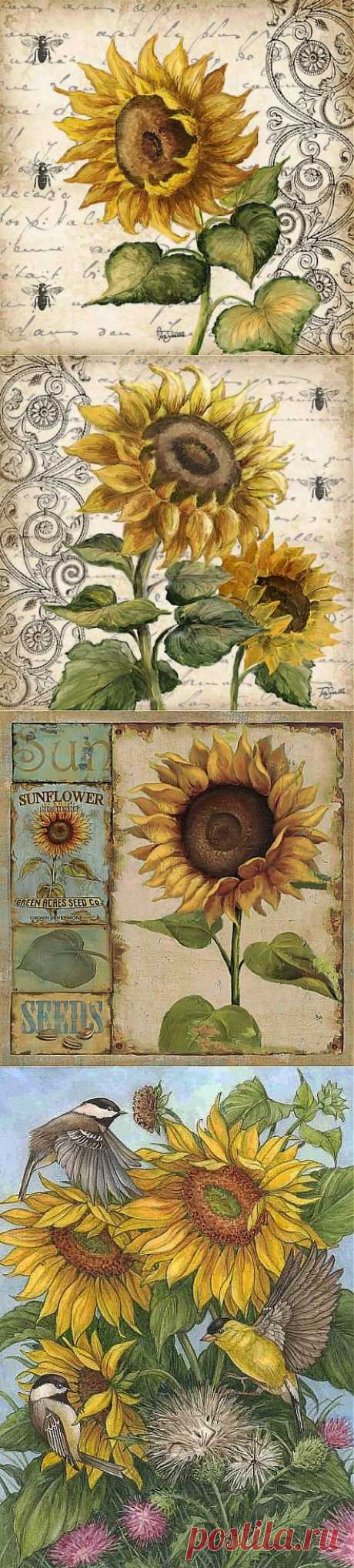 Подсолнухи / Картинки для декупажа / PassionForum - мастер-классы по рукоделию