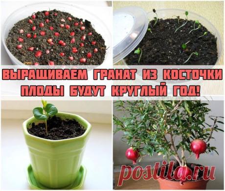 Клуб рукоделия