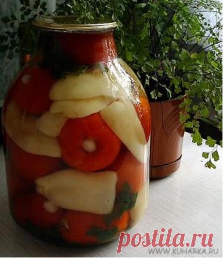 Рецепт: Помидоры "Страна советов"