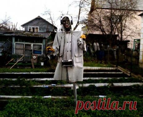 Дачные приколы / Писец - приколы интернета