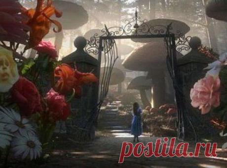 — Не грусти, — сказала Алисa. — Рано или поздно все станет понятно, все станет на свои места и выстроится в единую красивую схему, как кружева. Станет понятно, зачем все было нужно, потому что все будет правильно.
© Льюис Кэрролл
•••