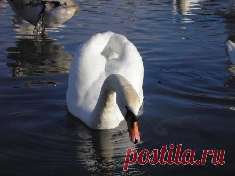 Красивые профессиональные фото, оригинальная художественная фотография – Социальная сеть о фотографии ФотоКто – страница 5