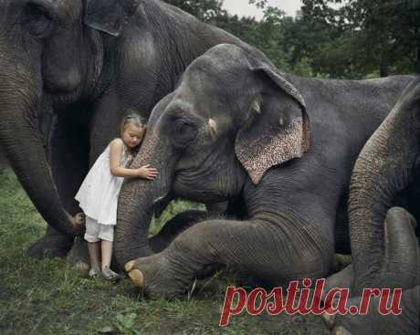 Самая тёплая одежда для сердца