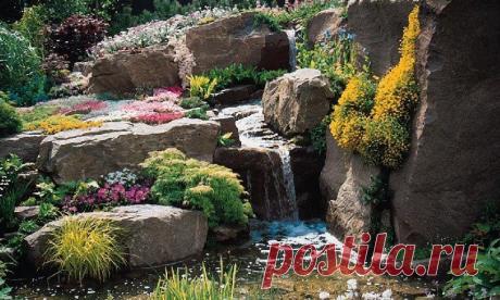 Каменистые сады: Группа Ландшафтный дизайн