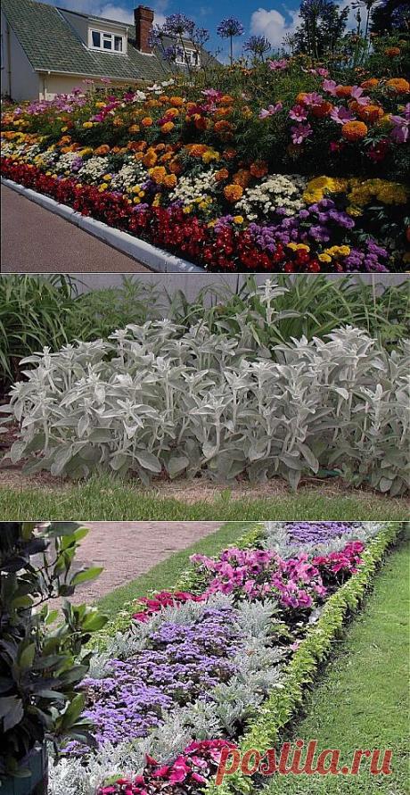 Цветники на даче: какой выбрать? | Самоцветик
