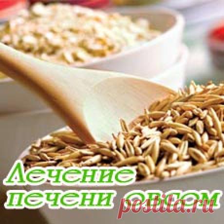 Лечение печени овсом: отзывы и рецепты