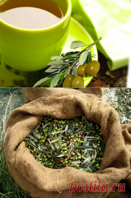 Целебный чай