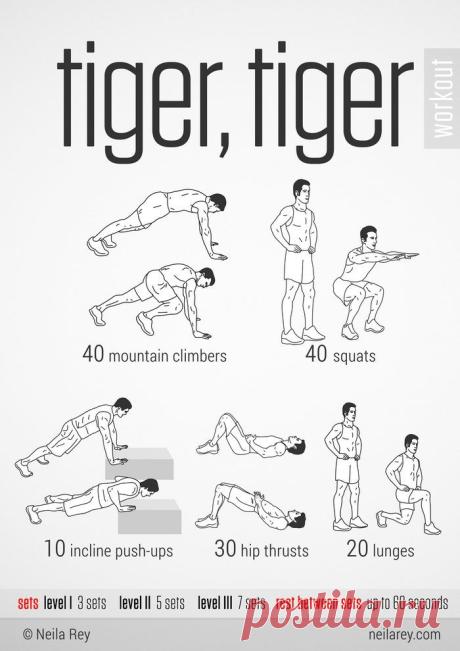 Дёшево и эффективно! Класс! 100 no-equipment workouts