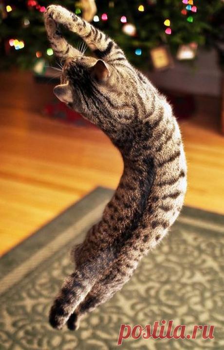 Все для отличного Нового Года!