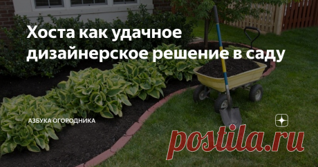 Хоста как удачное дизайнерское решение в саду Дизайнерские решения по использованию хост в саду предполагают создание сложных композиций, в которых многолетние растения сочетаются с другими цветочными культурами.