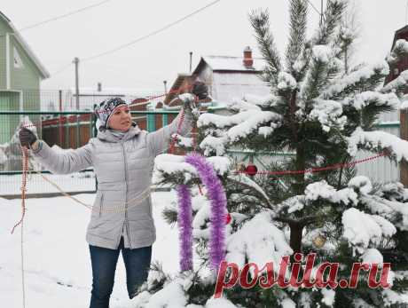 Сезонные работы в саду и огороде: четвертая неделя декабря. Сохраните любой пост с сайта 7dach.ru в Постиле и выиграйте призы от интернет-магазина Клуб Красоты. Чем больше постов - тем выше шансы. Розыгрыш состоится в понедельник, 30 декабря. В акции участвуют все посты, которые содержат этот текст или фото призов!