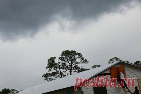 Назван «избавитель» России от разрушительной бури «Милтон»