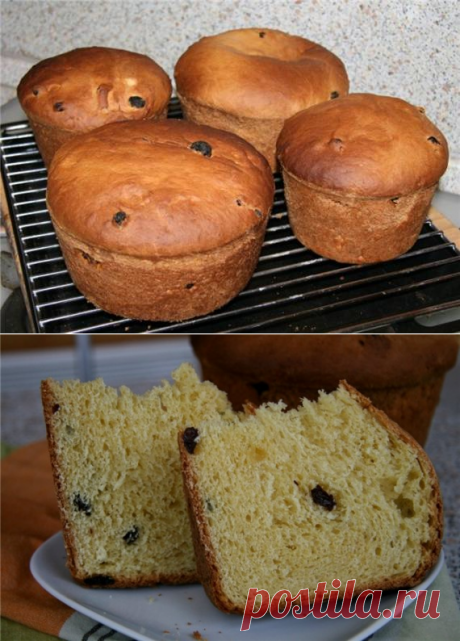 Кулич шафранный на сметане - рецепт с фото на Хлебопечка.ру