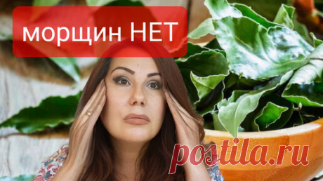 Чудо Лавровый крем! Разглаживает даже Глубокие морщины.Делаю сама и вам советую. | С Лёгкой Руки | Дзен