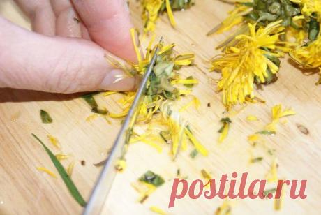 Рецепты приготовления вин из одуванчиков