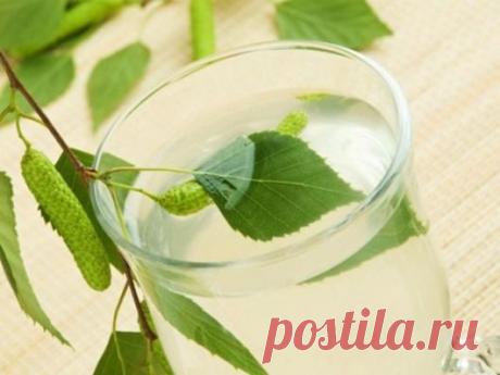 (+1) тема - Чем богат березовый сок? | Первая помощь
Весенняя пора дарит нам лучшее для здоровья.
Чтобы обогатить организм полезными витаминами и минералами, отправляйтесь в лес за березовым соком.