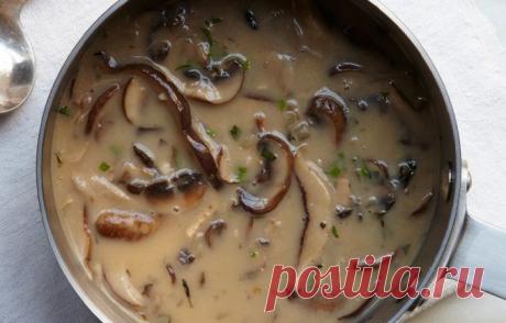 Забытые рецепты подливки от острой до грибной под все виды блюд / Рецепты / Кулинарный журнал Минска - koko.by