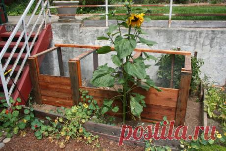 Компостная куча - современный подход
Для приготовления хорошего компоста рассыпчатой структуры компостную кучу закладывают так, чтобы, не превращаясь в груду гниющих отбросов, она обеспечивала быстрейшее разложение органических веще…