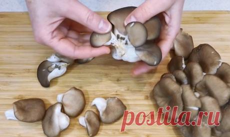 Как засолить вешенки горячим способом: готовы сразу после остывания и можно подавать | Рекомендательная система Пульс Mail.ru