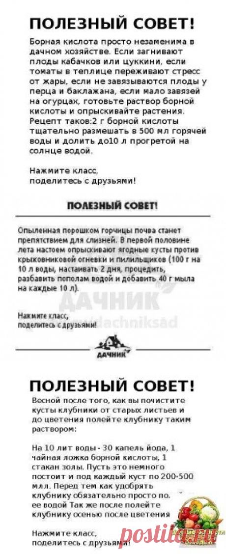 (79) Одноклассники