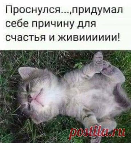 - Не, мужики, мне пить вера не позволяет. - Чё - мусульманин?! - Жену у него так зовут. Вера. 95 кг. Шпалоукладчица. - Выпуск №2276 — Вокруг смеха