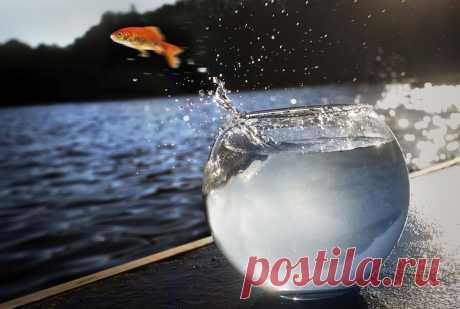 Нас не учили быть счастливыми
Когда я вхожу в дом с покупками, вся такая предвкушающая шуршание обертками, разглядывание и примеривание, Ася тут же выхватывает сумки у меня из рук, все оттуда вываливает, начинает есть, если это е…