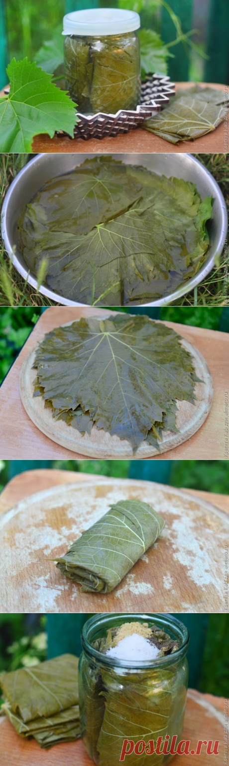 Маринованные виноградные листья | Банк кулинарных рецептов