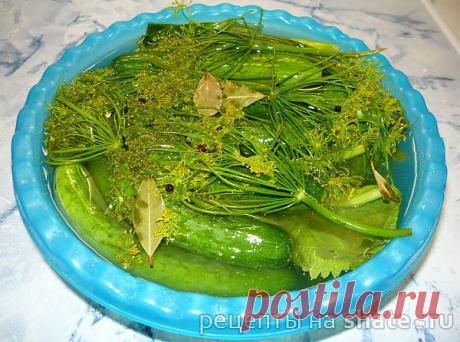 Малосольные огурчики по бабушкиному рецепту.