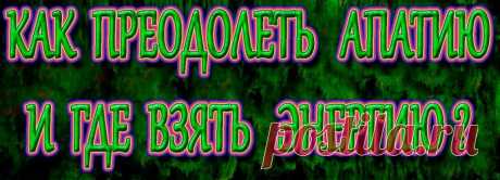 Эгоизм и независимость - это путь «в никуда».
Философия «мне наплевать на другие клетки», «я такой, какой я есть», «весь мир должен мне служить и доставлять удовольствие» -
это мировоззрение раковой клетки.