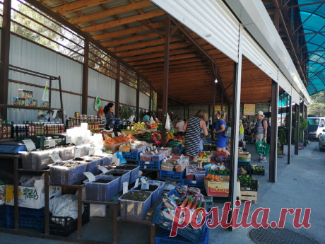 Почему между Лдзаа и Пицундой я выберу Лдзаа, хоть это и деревня. Рассказываю все плюсы и минусы | Крит. Греция. Весь Свет | Яндекс Дзен