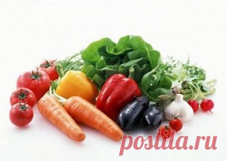 9 ИНТЕРЕСНЫХ НАБЛЮДЕНИЙ УЧЕНЫХ ЗА ОВОЩАМИ