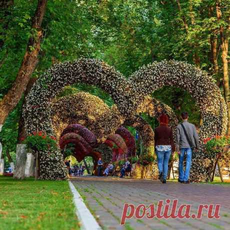 самые красивые парки москвы: 2 тыс изображений найдено в Яндекс.Картинках