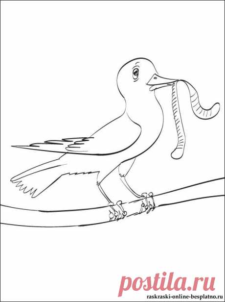 Раскраска с птицей на цветущей ветке | Раскраски для детей