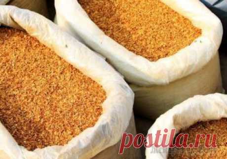 Табак для защиты растений – боремся с вредителями сада и огорода Алкалоид никотин, который в больших количествах содержится в листьях и стеблях табака, является ядом для множества насекомых, работая в составе растений в качестве их естественного защитника от вредит...