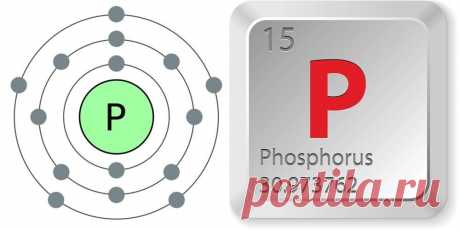 Фосфор (P, Phosphorus) | Кухня Кухня Фосфор открыл в 1669 году алхимик из Гамбурга Хенниг Бранд, который проводил опыты с выпариванием человеческой мочи, пытаясь получить философский камень. Вещество, образовавшееся после многочисленных