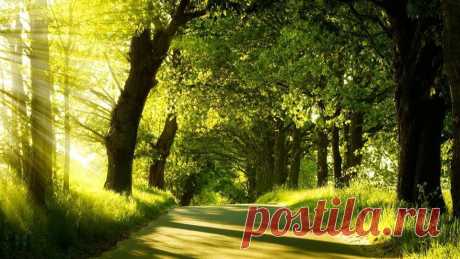 h-541.jpg (960×540)