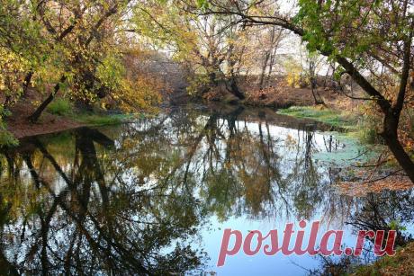 Анатолий Иваненко
59 лет, Россия, с.Репьевка