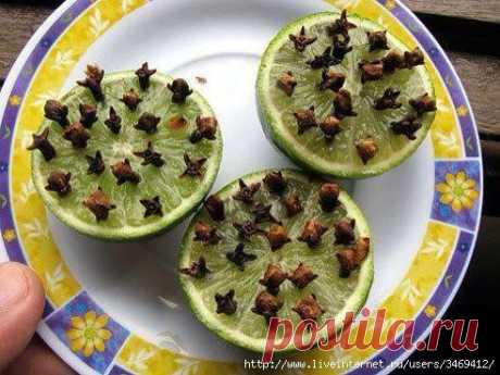 Самое эффективное и натуральное средство от комаров