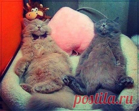 Мой Мир@Mail.Ru