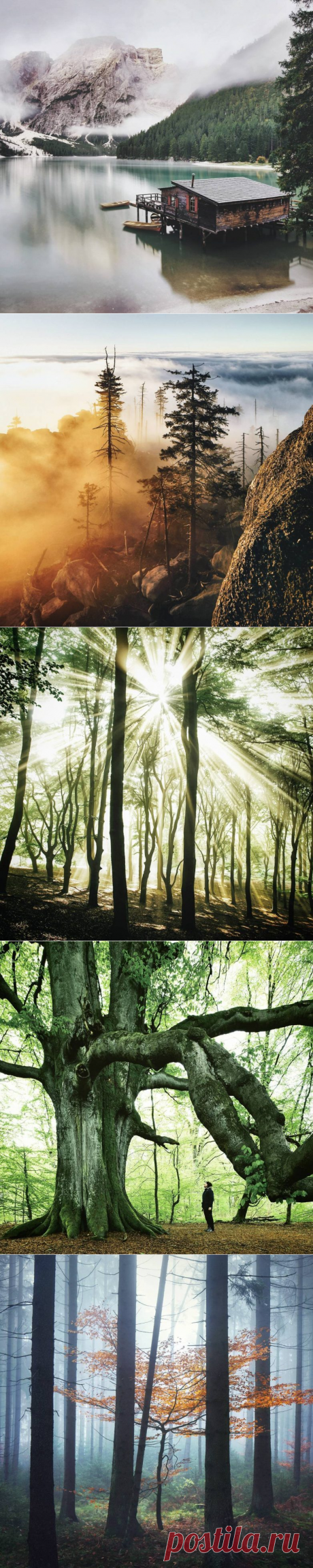 Игра цветом: волшебные снимки профессионального фотографа, страдающего дальтонизмом / Туристический спутник