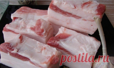 Вот что происходит с организмом, когда ты ешь сало. Не упади со стула! — Лист Клевера