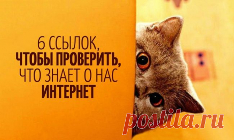 6 ссылок, чтобы проверить, что знает о нас интернет