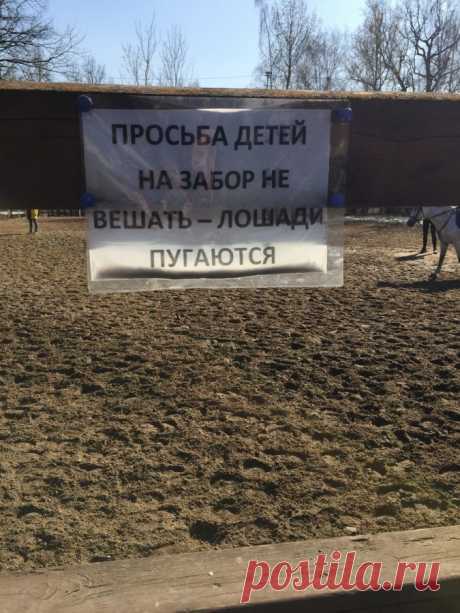 XOXO.RU - Смешные картинки и гифки!