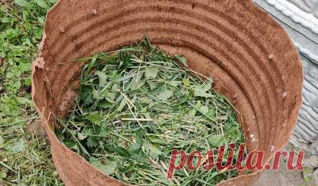 Как использовать старую бочку: интересный опыт | Лайфхаки для дачи Пульс Mail.ru На свалке нашли старую бочку и решили посадить в нее огурцы. Отличное применение ржавой "посудине".
