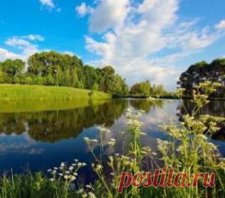 Сегодня 05 июня отмечается "Всемирный день окружающей среды (День эколога)"