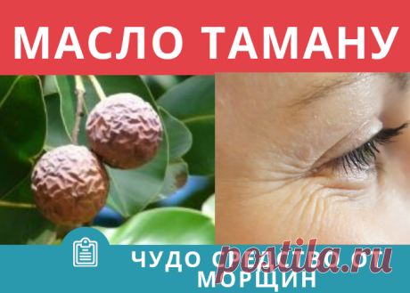 Масло таману: свойства, применение для здоровья и красоты